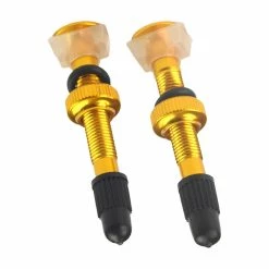 Alisili 6colors 2pcs Mountain Bike Tubeless Tires Presta Valves Vacuum-nozzle